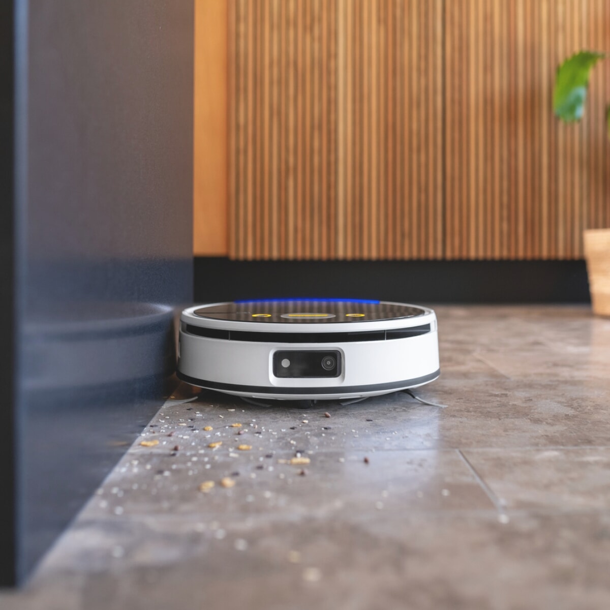 12696930 1200x1200.jpg