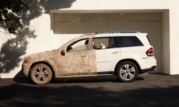 Rengjøring Eksteriør